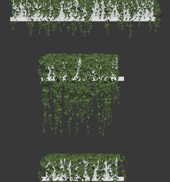 Ivy for shelves — Download