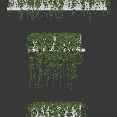 Ivy for shelves — View 2