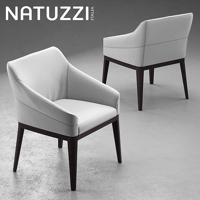 Table and chairs Natuzzi minerva, Saturno, Vesta — Descargar