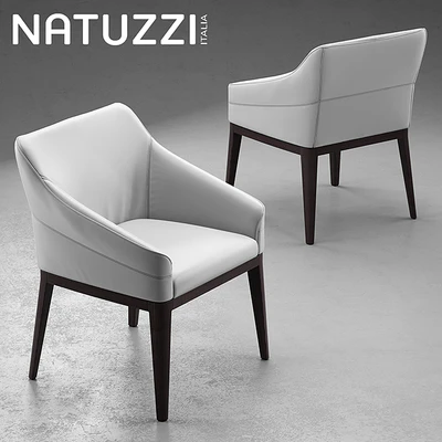 Table and chairs Natuzzi minerva, Saturno, Vesta — Ver 3