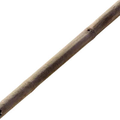 bamboo stick 001 — Descargar