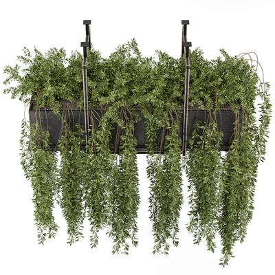 Indoor Hanging Plants in Metal Box - Set 303 — Вид 3