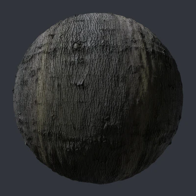 maple bark 001 — скачать