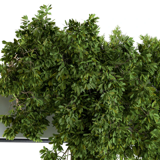 Hanging box plant - Set 70 — Descargar