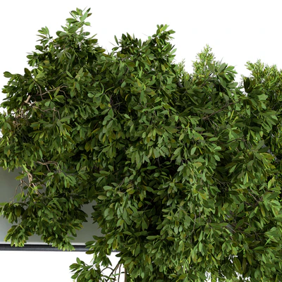 Hanging box plant - Set 70 — Ver 4