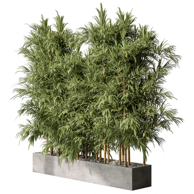 Bamboo Plants - Outdoor Plants 469 — скачать