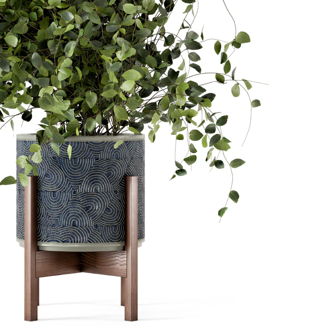 Indoor Plants in rusty Concrete Pot - Set 244 — Descargar