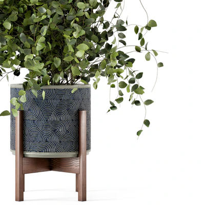 Indoor Plants in rusty Concrete Pot - Set 244 — Ver 3