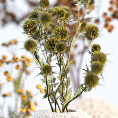 Dried flowers in stone vases — View 2