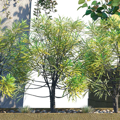 Outdoor set 14 — Вид 3