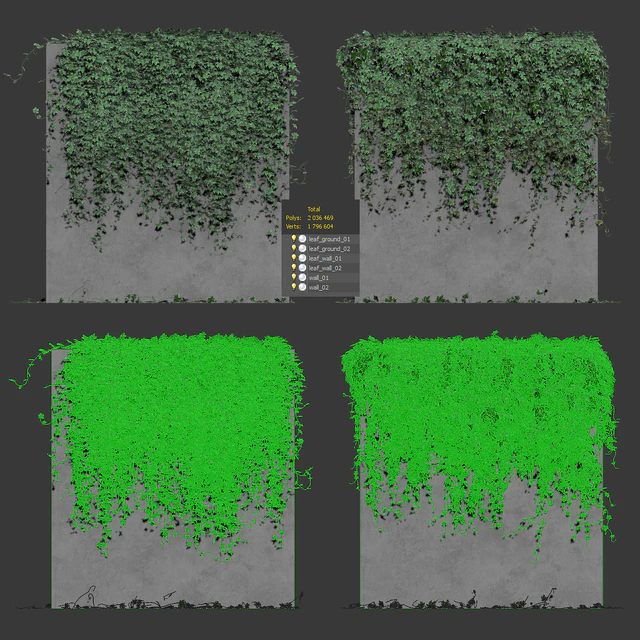 Wall with grape leaves — Descargar
