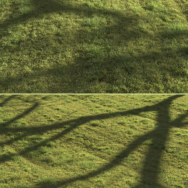 Grass landscape — Descargar