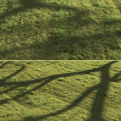 Grass landscape — Ver 2