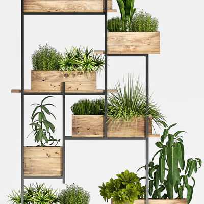 Plant set-118 — Вид 2