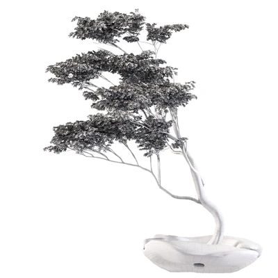 bonsai5 — Ver 2