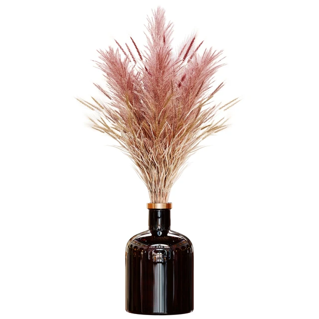 Pampas bouquet flower 02 — Скачать