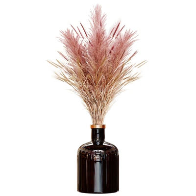 Pampas bouquet flower 02 — Вид 1