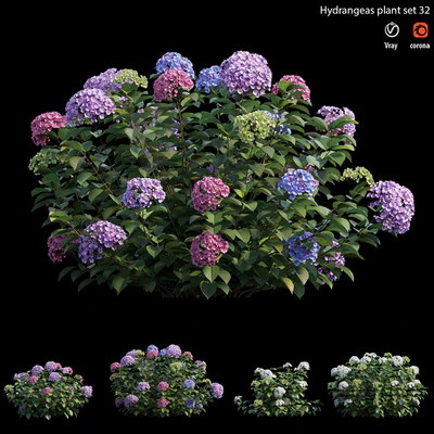 Hydrangea Plant set 32 — Вид 5