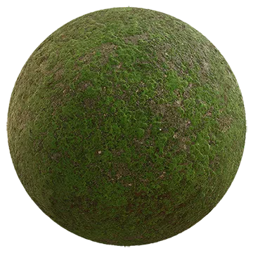 mossy ground 013 — Скачать