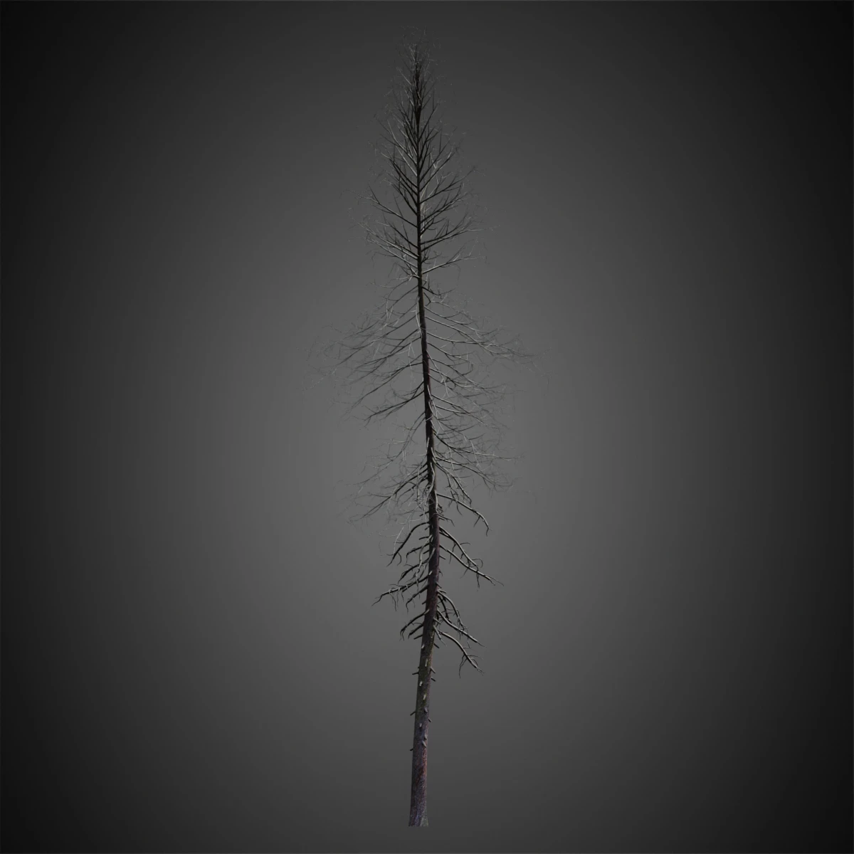 009 — Download