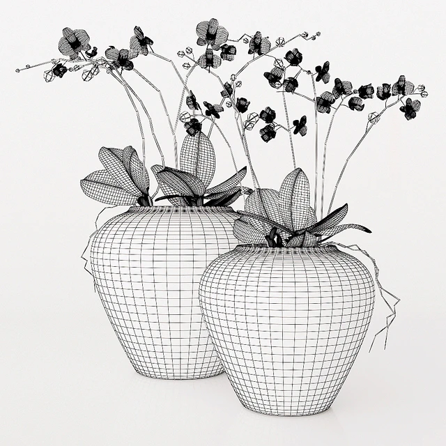 potterybarn, Orchid — Descargar