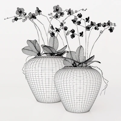 potterybarn, Orchid — Ver 2