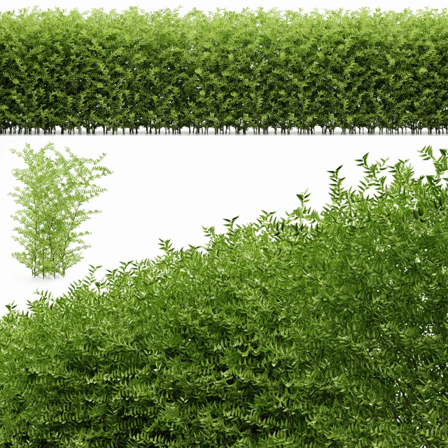 plant 19 — Descargar