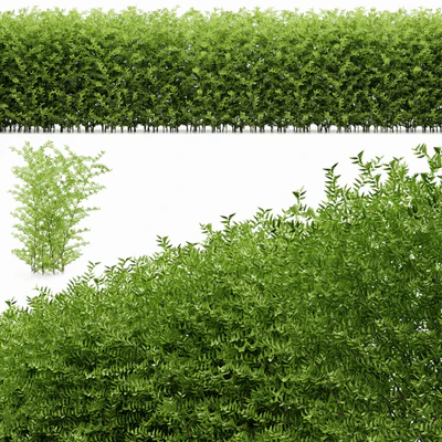 plant 19 — Descargar