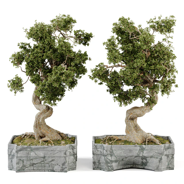 Bonsai Set Vol.01 — Скачать