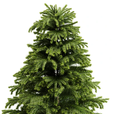 indoor plant Set 18 — Вид 3