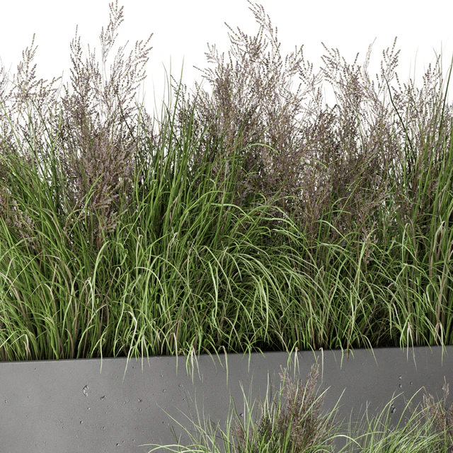 Outdoor Plants Bush in rusty Concrete Pot - Set 565 — Descargar
