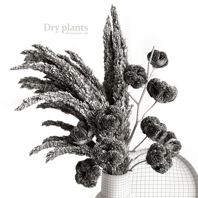 Decorative set with dry plants 5 — Скачать