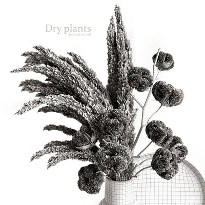 Decorative set with dry plants 5 — Вид 3