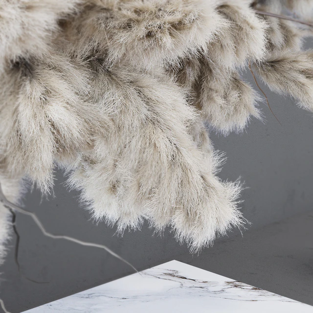INDOOR DRIED FLOWERS / pampas grass — Descargar