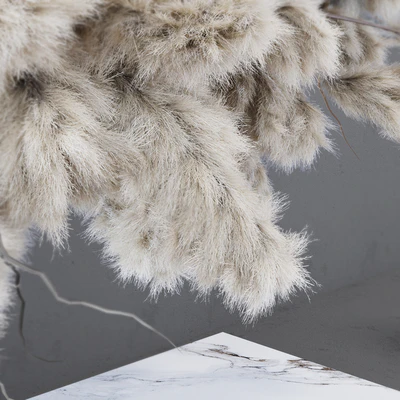 INDOOR DRIED FLOWERS / pampas grass — Ver 2