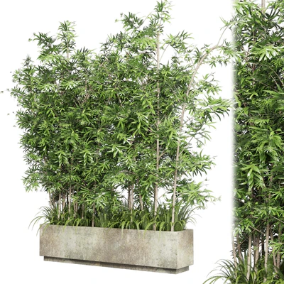 Collection Outdoor plant 49 concrete dirt old vase bax pot tree fern bamboo — Ver 5