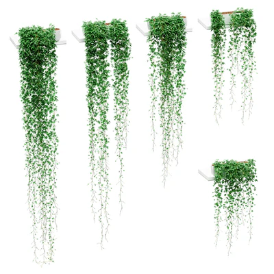 Ivy in pots on the shelves. 5 models — Ver 1