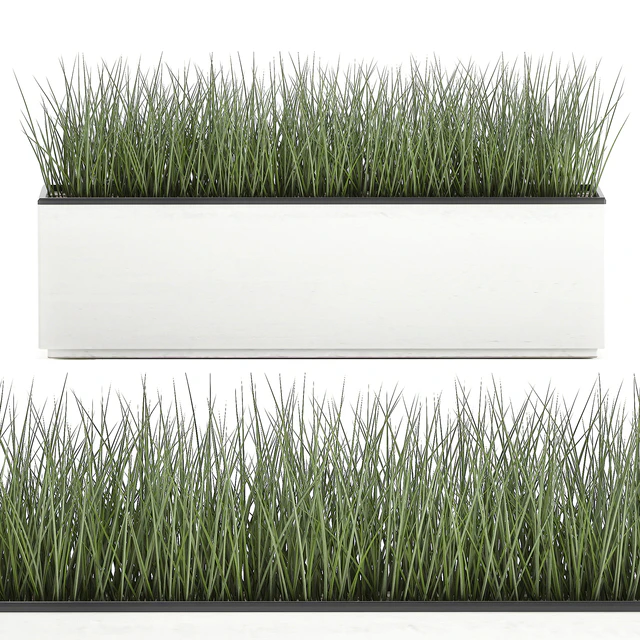 Collection of plants in outdoor white potted flower beds with tree, grass, Sansevieria. Set 585. — Descargar