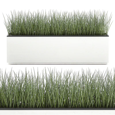 Collection of plants in outdoor white potted flower beds with tree, grass, Sansevieria. Set 585. — Ver 4