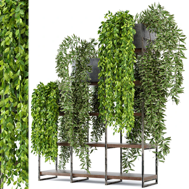 Indoor Plants in rusty Concrete Pot on Metal Shelf  - Set 53 — Скачать