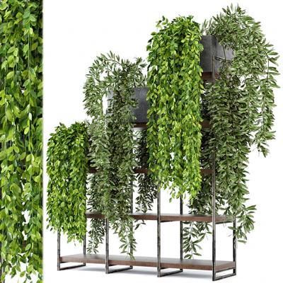 Indoor Plants in rusty Concrete Pot on Metal Shelf  - Set 53 — Вид 4