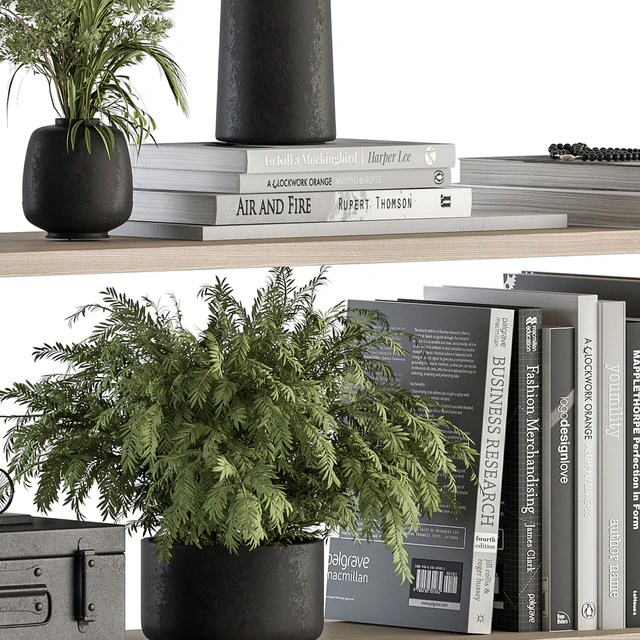 Decorative Set on Shelves and Decor objects - Set 11 — Descargar