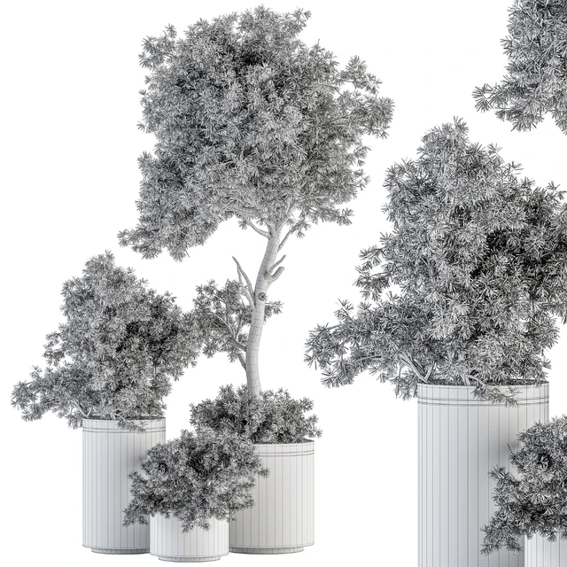 indoor Plant Set 344- Tree and Plant Set in pot — Скачать
