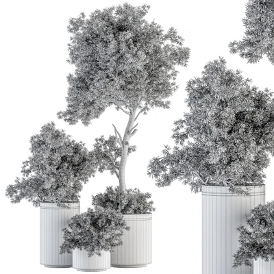 indoor Plant Set 344- Tree and Plant Set in pot — Вид 4
