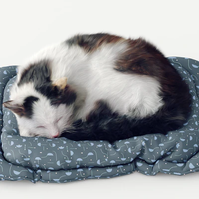 Fluffy cat — Ver 2