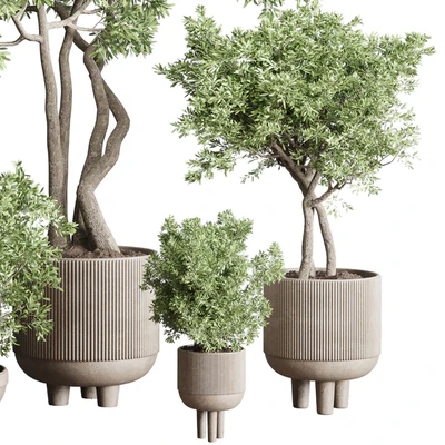 Collection Indoor Outdoor plant 118 vase concrete pot tree corona — Вид 5