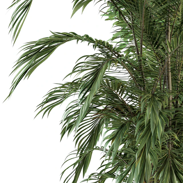 indoor Plant Set 112 - Tropical Plants — Descargar