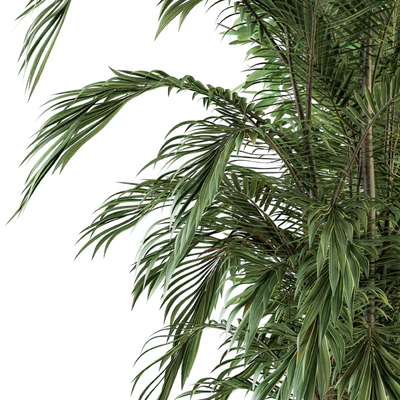 indoor Plant Set 112 - Tropical Plants — Ver 3