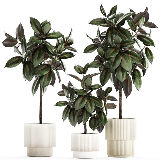 Plant collection 1432 — Descargar