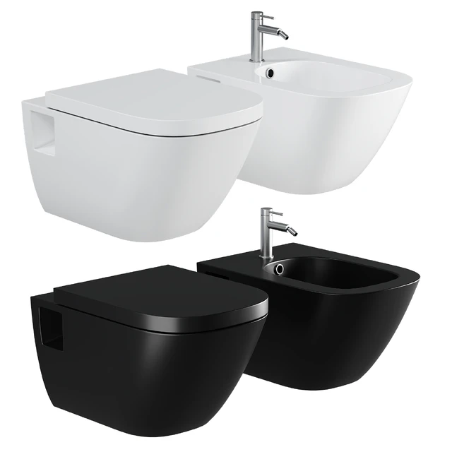 Toilet Roca The Gap 346477000 hanging without seat — Descargar